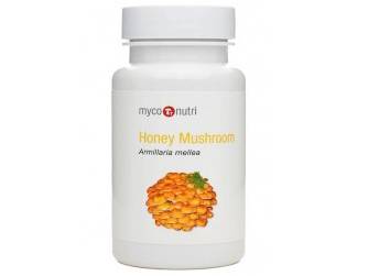 Myconutri Honey Mushroom Armillaria mellea